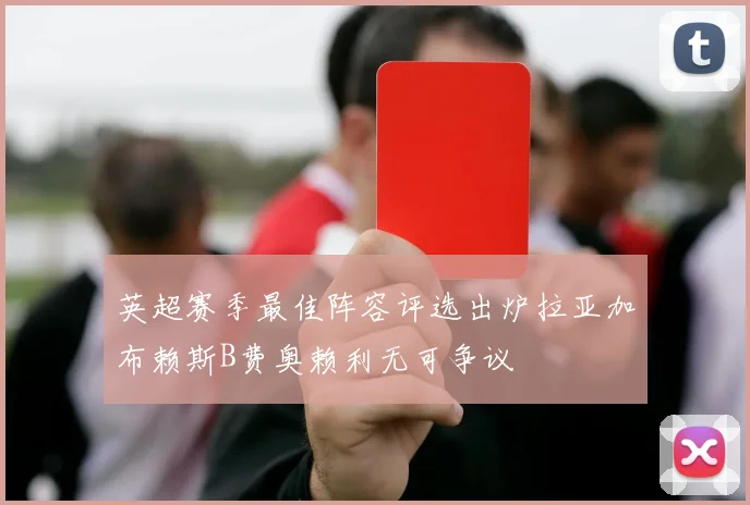 英超赛季最佳阵容评选出炉拉亚加布赖斯B费奥赖利无可争议