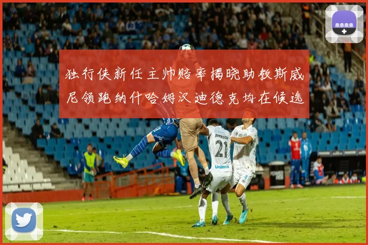 独行侠新任主帅赔率揭晓助教斯威尼领跑纳什哈姆汉迪德克均在候选之中